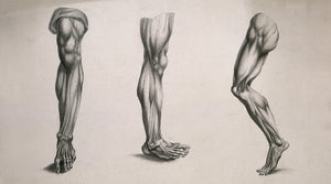 Shin Splints
