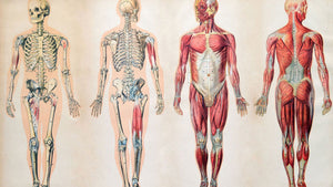 'I Don't Have a Runner's Body'